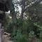 Peace@Kruger