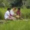 Plataran Ubud Hotel & Spa - Ubud