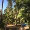 Villa et Gites Le Safran - Le Triskell