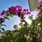 Tedy's Townhouse-Margarita Gardens