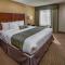 Best Western Airport Inn & Suites Oakland