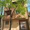 Apolon
