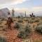 Saguaro Lake Ranch - Fountain Hills