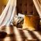 Addo African Home