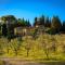 Le Filigare Winery & Accomodation in Chianti