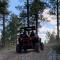 Whitetail Creek Resort