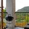 Stonehaven Clarens