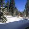 Mountainback 62