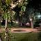 Addo African Home