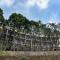 Sun Moon Lake Bamboo Rock Garden