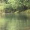 Rio Agujitas Eco Farm hostel and Tours