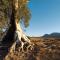 Discovery Resorts - Wilpena Pound