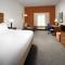 Holiday Inn Express & Suites Bay City, an IHG Hotel - 贝城