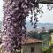 Residenza Buggiano Antica B&B - Charme Apartment in Tuscany