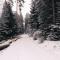 Wanderlust Panorama - Leben im Nationalpark