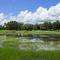 Spacious modern pool home, Family & Golf trips - 4727 home