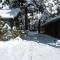 TimberLodge Inn