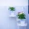 Cruwzo I Apartment with garden Elberfeld - 伍珀塔尔