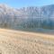 Hyatt Regency Kotor Bay Resort - Kotor