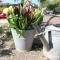 B&B - Pension Het Oude Dorp