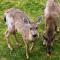 Eagles View Condo in Ocean Shores with 3 Balconies - Оушен-Шорс