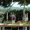 Koczor Winery & Guesthouse