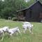 Village de gites Lapeyre photo 17
