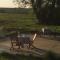 Holiday home on farm (La Ferme du Tao) - Beaugies-sous-Bois