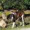 Hotel Rural Quinta do Marco - Nature & Dining