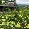 Baan Boom Boxes Eco Friendly Resort