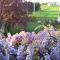 Les Glycines Bed & Breakfast