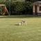 Quinta Sobral Prestige - Rustic House