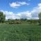 DE LANDSHOEVE vakantiewoningen