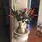 Chez Mimi & Chouchou photo 8