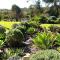 Austiny Bed and Breakfast Victor Harbor
