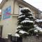 Matsumoto BackPackers