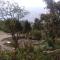 Tragopan Homestay