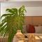 Marina Smir Hotel & Spa