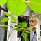 Entire Cosy Apartments May Homestay Hanoi