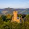 Saar Castle - cozy Mansion near vineyard