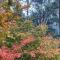 Wild Orchid Olinda Private Luxury Cottage