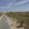 Into the Sea - Middelkerke