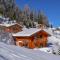 Chalet Belle Roche Chalet Belle Roche