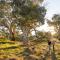 Holowiliena Station & The Outback Blacksmith