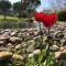 Le Hameau des Coquelicots photo 17