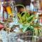 ibis Styles Douai Gare Gayant Expo
