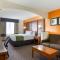 Comfort Suites Stevensville - St Joseph