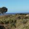 Le Pilotis photo 17