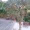 Vaintan B&B