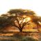 Frans Indongo Lodge